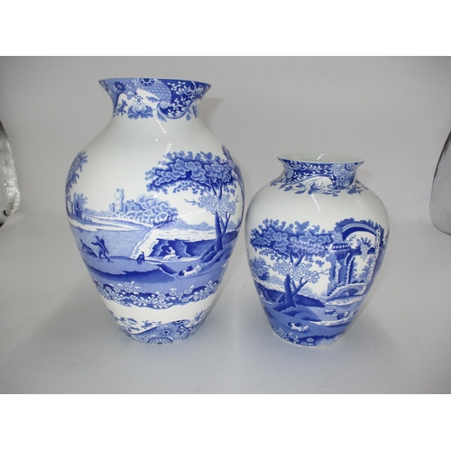 366 - Two Spode Italian Vases, 25 and 20cm