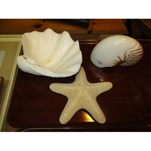 184 - Two Shells and a Starfish