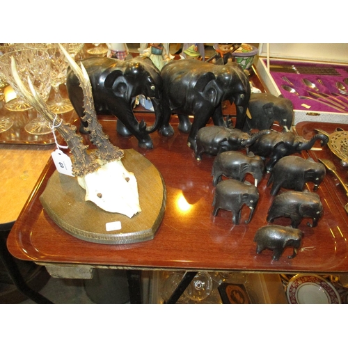 69 - Shield Mounted Antlers and 10 Carved Wood Elephants