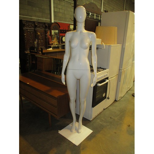 677 - Two Mannequins