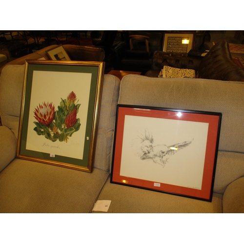 184 - Kim Donaldson Pair of Signed Prints of Birds and a Pair of Signed Still Life Prints