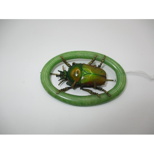 462 - Art Deco Bakelite and Metal Beetle Brooch, 6.5x4.5cm