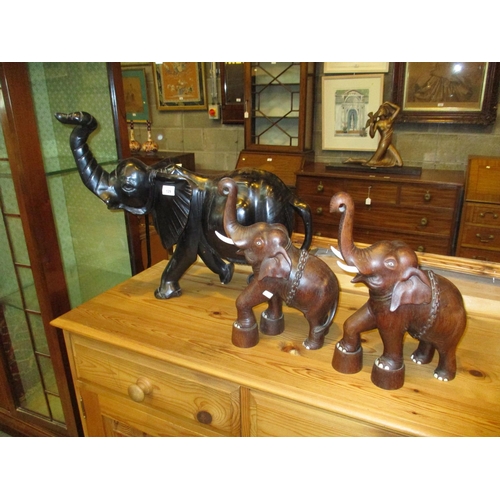 129 - Three Carved Wood Elephants, largest 60cm long