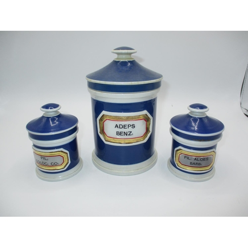 Set of 3 Pottery Chemists Jars with Glass Labels by YG Co, 16 and 9cm