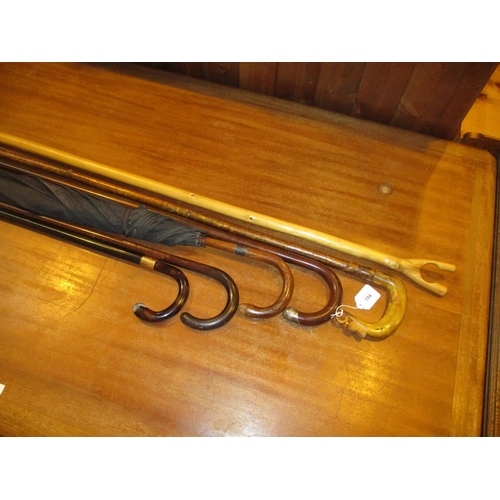 194 - 9ct Gold Mounted Walking Stick, 3 Others, Wading Stick and Gents Umbrella