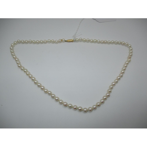 257 - Cultured Pearl Necklace with a 9ct Gold Clasp