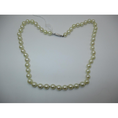 317 - Pearl Necklace with Silver Clasp