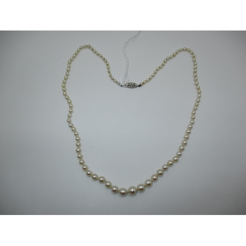 319 - Graduated Pearl Necklace with 9ct Gold Gem Set Clasp