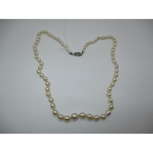 320 - Graduated Pearl Necklace