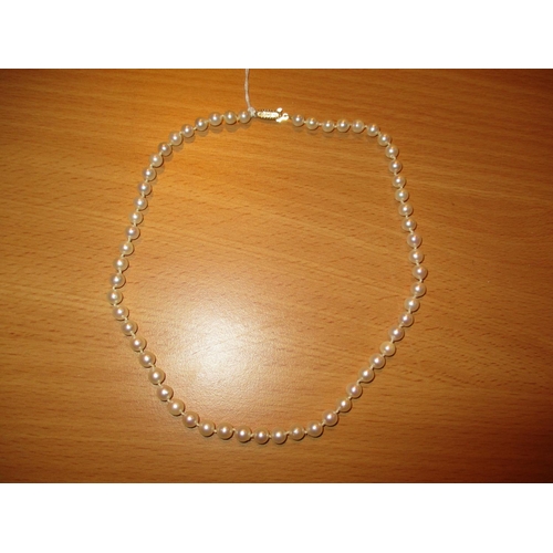 259 - Cultured Pearl Necklace with a 9ct Gold Clasp