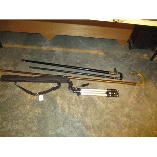 173 - Crook, 2 Walking Sticks, Camera Pole and Tripod