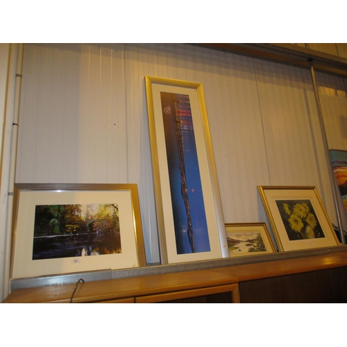Lot 231       