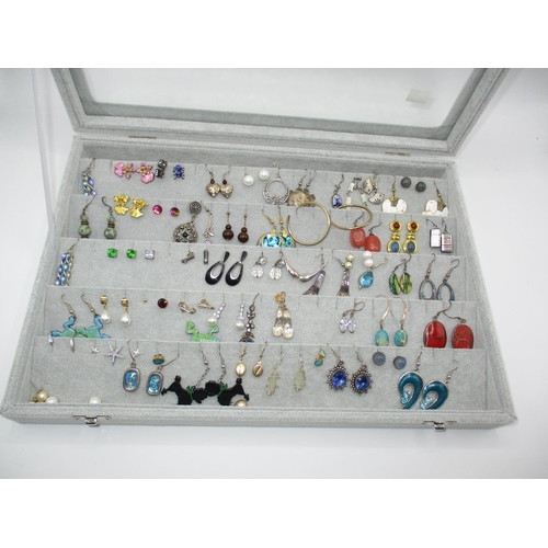 436 - Case with Various Pairs of Earrings