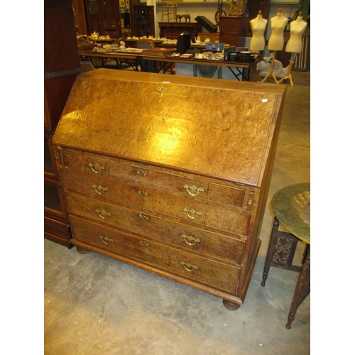 545 - Antique Burr Walnut Front 4 Drawer Bureau, 103cm