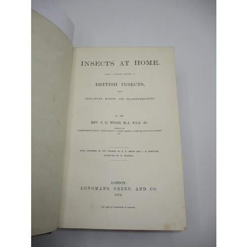 289 - Book - Insects at Home by Rev. J G Wood 1872