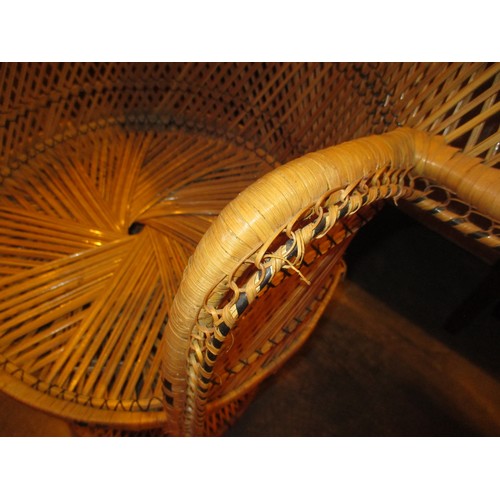 507 - Vintage Wicker Peacock Chair