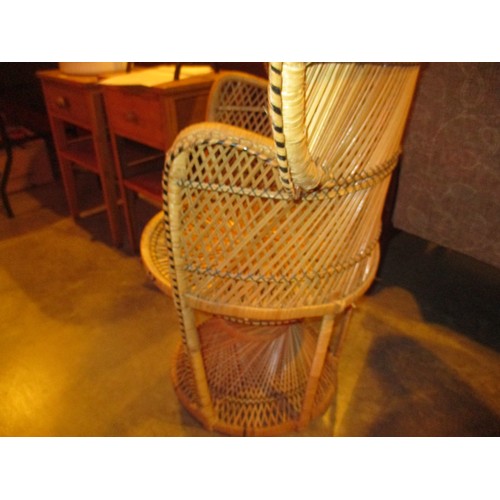 507 - Vintage Wicker Peacock Chair