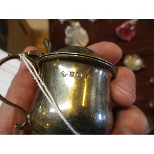 6 - Collection of Silver Condiments etc