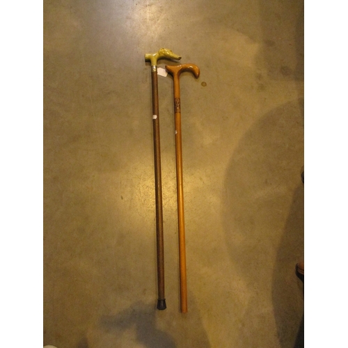 Two Walking Sticks