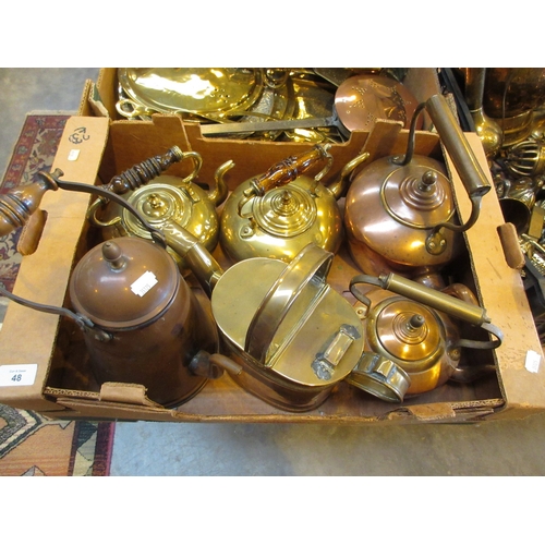 Lot 48        