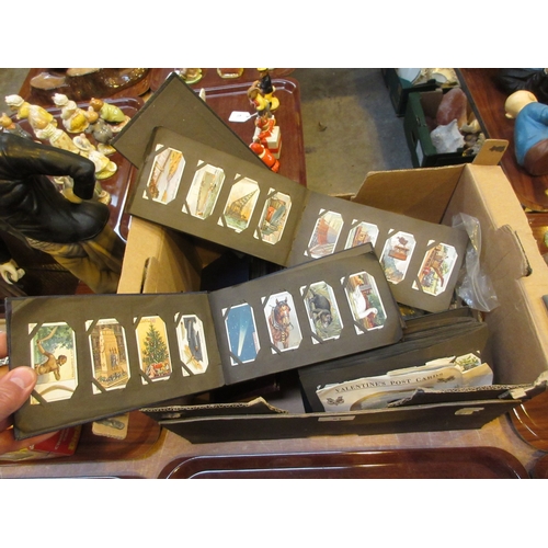 Lot 51        