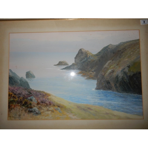 2 - D. Sherrin.  A signed gouache - Coastal scene with heather on the cliff, mounted, framed and glazed ... 