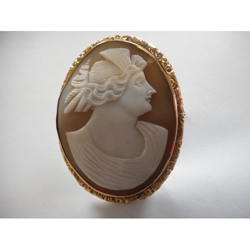 235 - A carved shell cameo brooch depicting head and shoulders of a lady, in a 9ct. gold floral decorated ... 