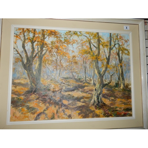 3 - Ernest Knight.  A signed oil on canvas - Autumnal woodland scene, framed - 17in. x 24in. and Leyton ... 