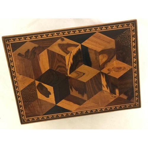 249 - A Tunbridge Ware box with parquetry lid - 7 1/2in. wide