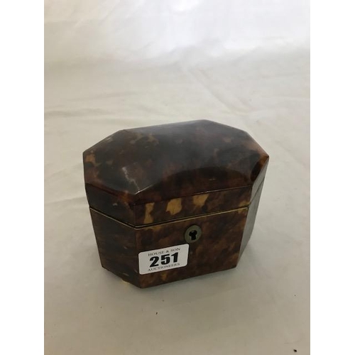 251 - A 19th Century tortoiseshell single division tea caddy of octagonal form, on pill feet - 4 1/2in. wi... 