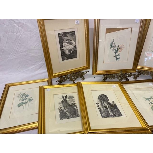 41 - A selection of prints various including Baxter needlebox prints, prints of birds etc..