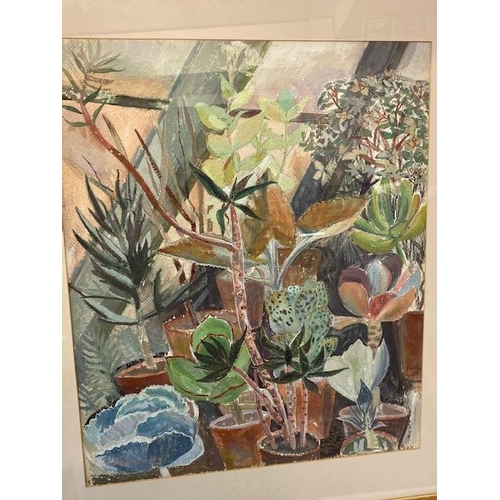 9 - Margaret Shaw.  A signed watercolour - Greenhouse with Cacti, mounted, framed and glazed - 19in. x 1... 