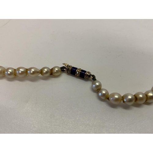 220 - A row of graduated pearls with gold coloured metal and blue enamel barrel form clasp inset bands of ... 