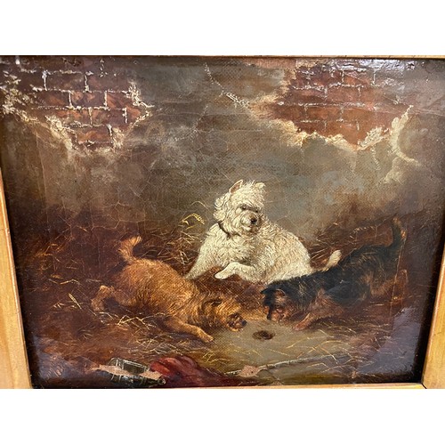 7 - A small signed 19th Century oils on canvas - Terriers in a barn, framed - 7 1/2in. x 9 1/2in. (af), ... 