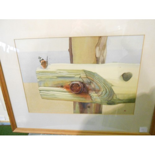 12 - Hamish Murray.  A watercolour - Hobbies Chasing Swallows, mounted, framed and glazed - 8in. x 12in.,... 