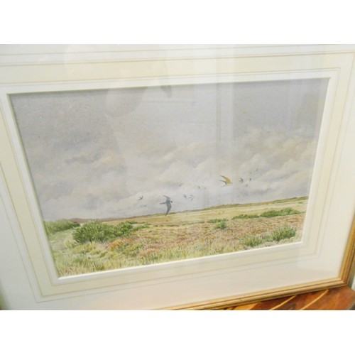 12 - Hamish Murray.  A watercolour - Hobbies Chasing Swallows, mounted, framed and glazed - 8in. x 12in.,... 