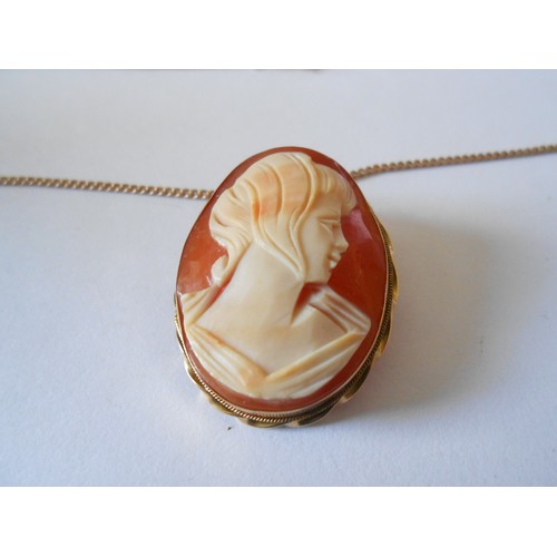 227 - A carved shell cameo in a 14kt. gold frame as a brooch/pendant, on a 9kt. gold chain