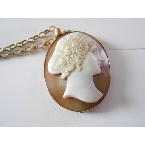 231 - An agate pendant depicting head and shoulders of a lady in a 9ct. gold frame, on a 9k. gold chain