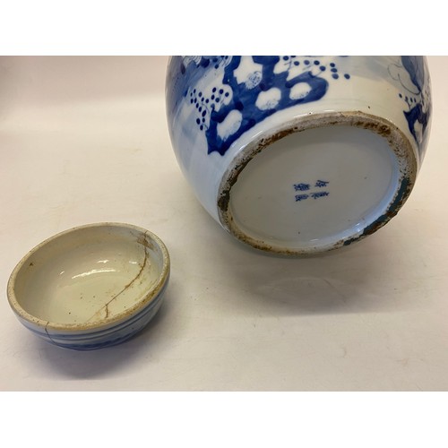 145 - A 19th Century Chinese porcelain blue and white ginger jar and cover decorated figures in a garden s... 