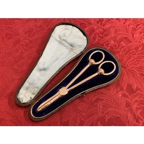 256 - A pair of silver grape scissors with engraved decoration, in fitted case - Sheffield 1887, makers ma... 