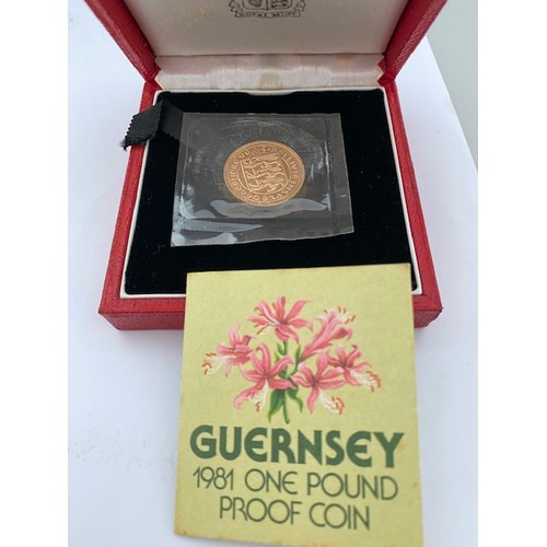 240 - A Guernsey 1981 One Pound gold proof coin in original box with certificate