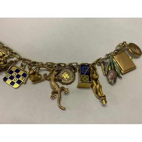 254 - A 14kt. gold bracelet hung with many gold charms including a lizard, owl, clog, enamel Union Jack, s... 