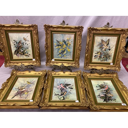 10 - Six signed paintings on porcelain tiles - Studies of birds, gilt farmed - 10in. x 8in.