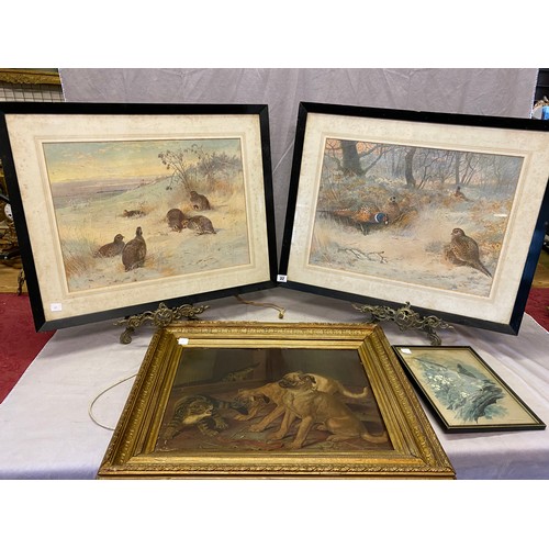 32 - A pair of prints after Archibald Thorburn - Grouse, mounted, framed and glazed - 14 1/2in. x 20in., ... 