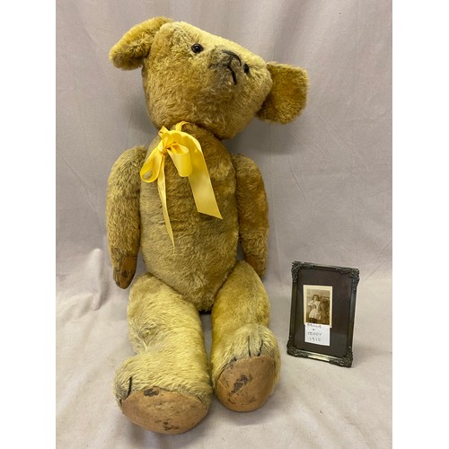 302 - A large early 20th Century golden mohair teddy bear with growler, articulated limbs, replacement paw... 