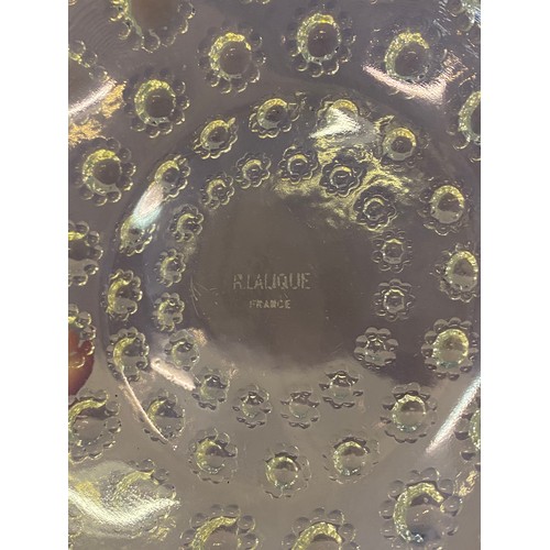 136 - A Lalique Asters opalescent dish - 10in. dia.