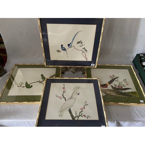 20 - A set of four coloured prints of birds, mounted, in cream bamboo frames and glazed - 12in. x 15in.