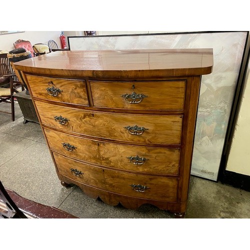 81 - A 19th Century mahogany bow front chest fitted two narrow and three wide drawers, on bun feet - 48in... 