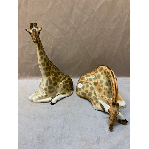 151 - Two USSR models of giraffes - 12in. and 5 1/2in. high