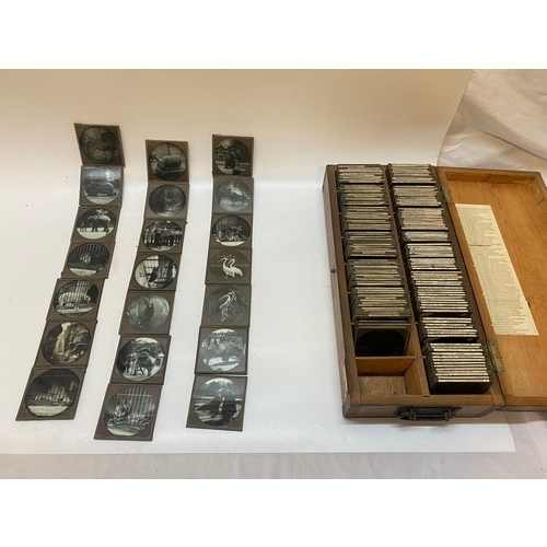 313 - A box of Magic Lantern slides